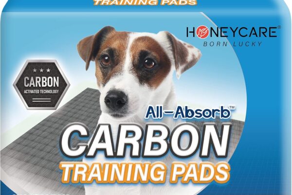 HONEY CARE All-Absorb Puppy Training Pads | Doggie Potty Pads Absorb Eliminating Urine Odor, Ultra Charcoal Dog Pee Pad (Carbon, L 22×23 inch, 100ct)