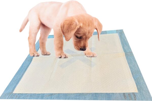 SPOT X Marks The Spot Extra Absorbent Puppy Pads with Adhesive Strips & Pheromones – Attracts Dogs to Center for Training & Potty, 22″ x 22″, 30-Pack